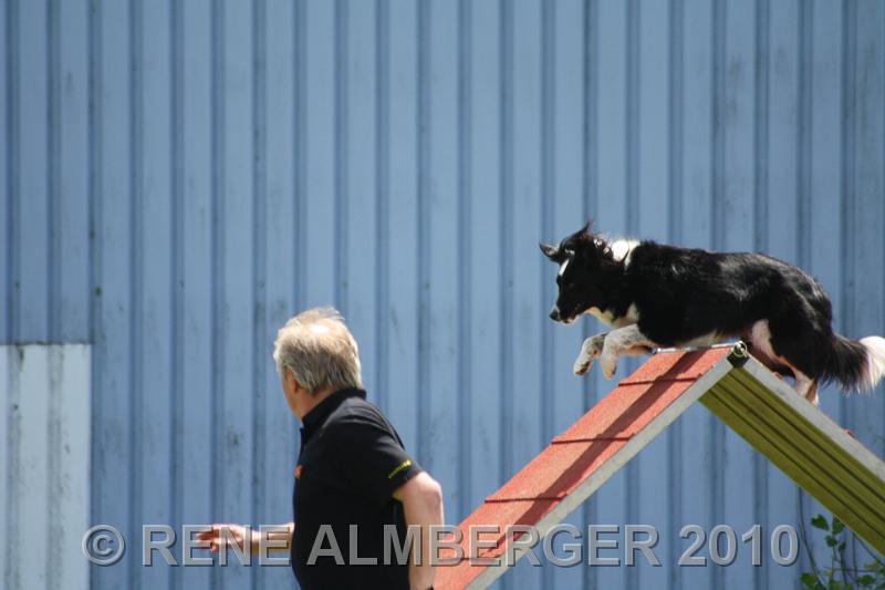 Bild 482.jpg
